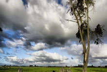 万，曼联促师徒三聚首？特林康或许值得红魔期待！.