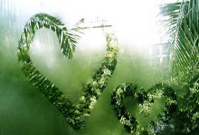 星空体育：游泳世界杯新加坡站女子100米混合泳 余依婷获得银牌央视新闻客户端.